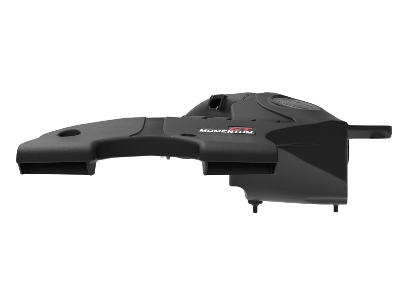 Advanced FLOW Engineering 50-70097D ; Momentum GT Cold Air Intake System w/ Pro DRY S Filter