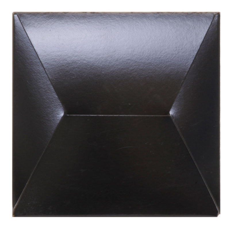 AEM Induction 21-2049BF Air Filter; Brute Force ®; Black