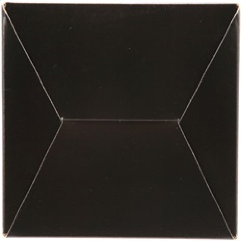 AEM Induction 21-2029BF Air Filter; Brute Force ®; Black