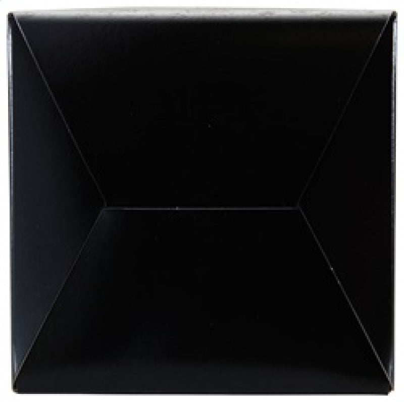 AEM Induction 21-203BF Air Filter; Brute Force ®; Black