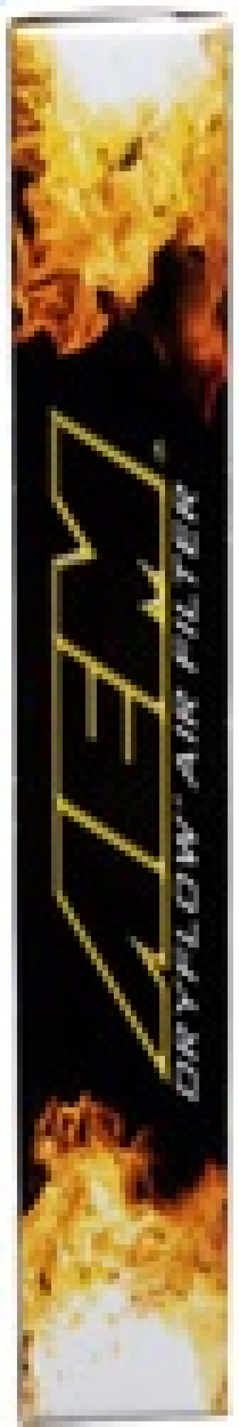 AEM Induction 28-20181 Air Filter; Dryflow ®; Washable